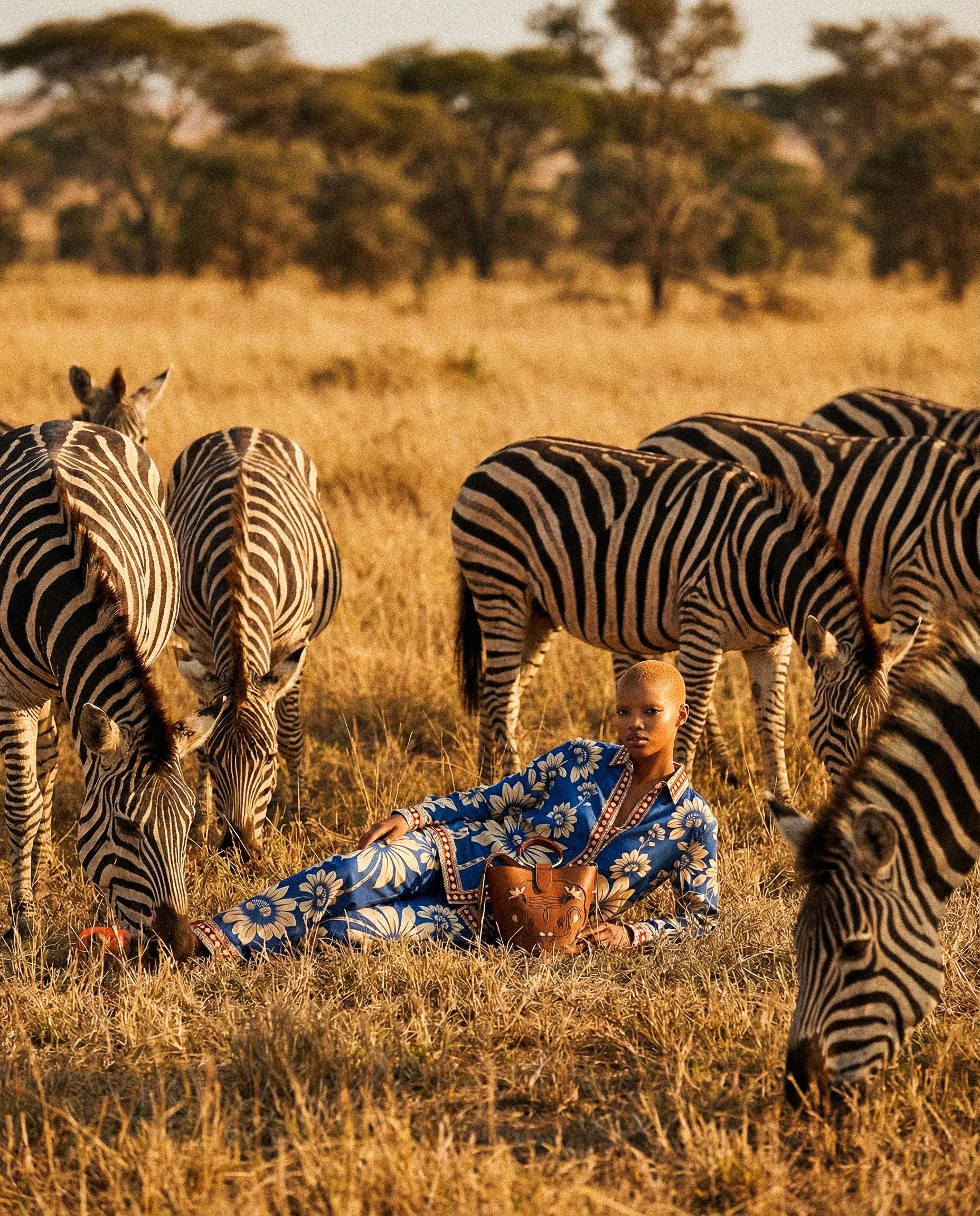 Farm Rio / Zebras Sit